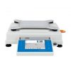 Radwag PM 10.4Y Precision Balance