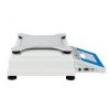PM 10.C32 Precision Balance 3