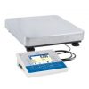 C32.1,5.F1.K Multifunctional Scale