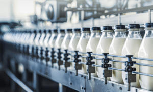 Optimalkan produksi susu & olahannya dengan timbangan presisi