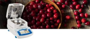 Timbangan Digital untuk Hasil Panen Buah dan Sayuran